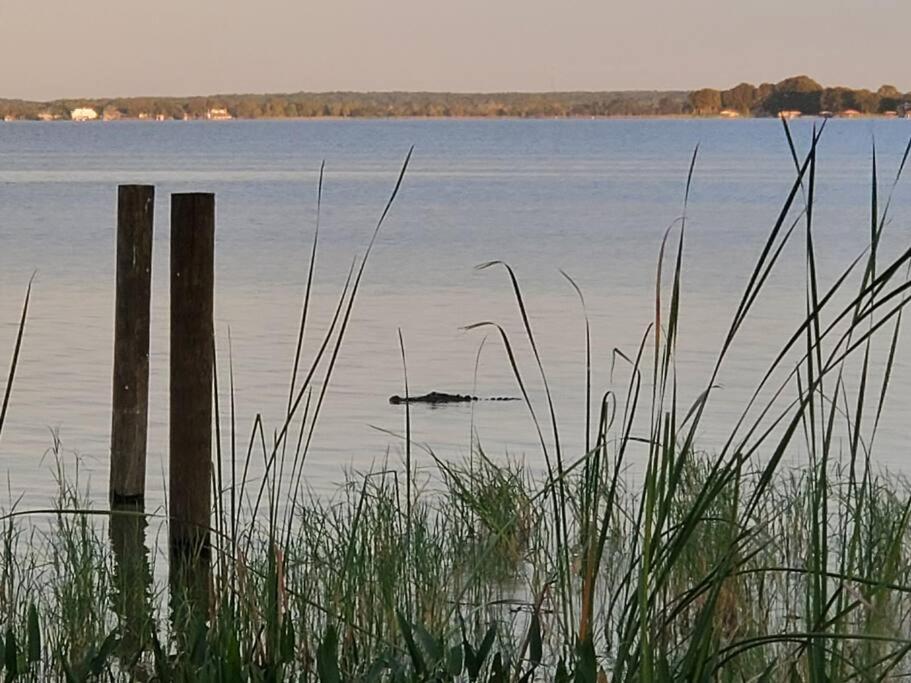 Camp St. Cabanas Unit 2 On Lake Dora Tavares Esterno foto